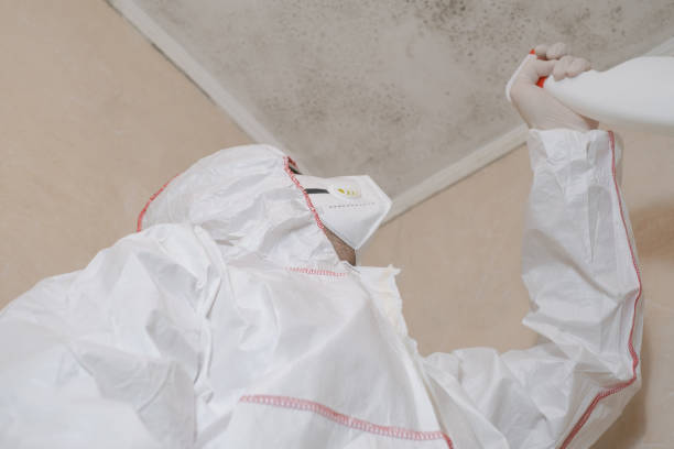 Professional Mold Remediation in Midvale, UT